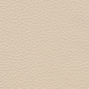 My-Skn Back Lotion Applicator